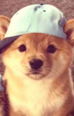 masonb || người yêu cũ - tuy cũ nhưng còn yêu 