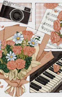 masonb | nhịp điệu của nắng