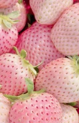 |masonb - textfic| amore mio