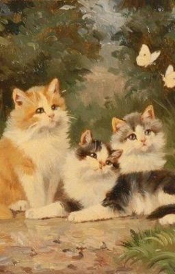 Mẩu chuyện của tôi