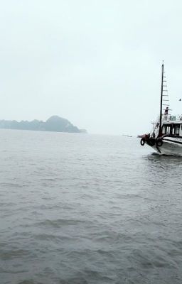 Màu của cuộc sống