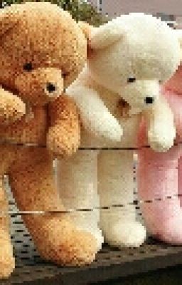 Mdlg/Ddlg Rp