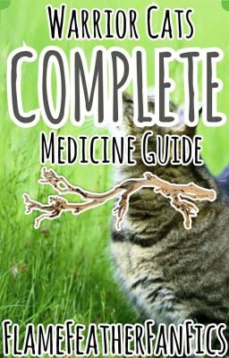 Medicine Cat COMPLETE Guide
