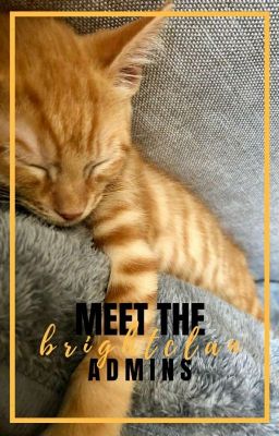 Meet the Admins