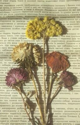 Melancholy / marhoon