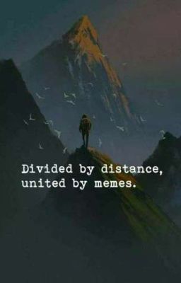 Memes Book 3 🔥