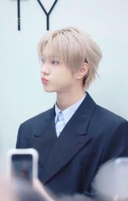☆Mèo Cam và Mèo Trắng [Jungwong and You]☆