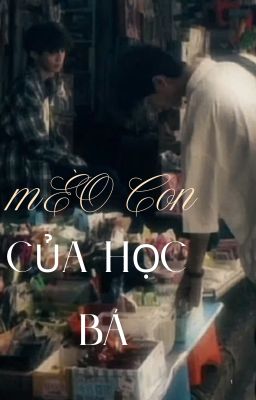 Mèo con của Học Bá