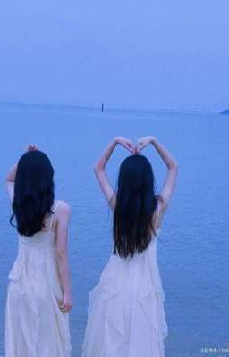 Mèo con thật dễ thương