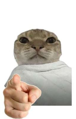 Mèo Đi Ủng