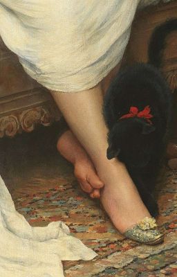 Mi Gatito- Mèo Con Của Tôi