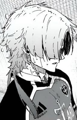 |michael kaiser x reader| luỵ tình