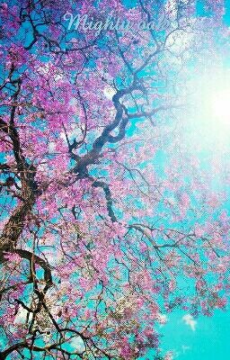 Mighty Oak