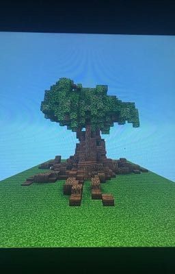 Minecraft builds