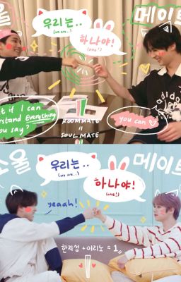[minsung] ai hỏi cũng gật