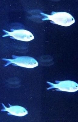 minsung | blueprint of us