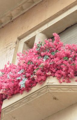 minwon | bốn mùa của kim mingyu