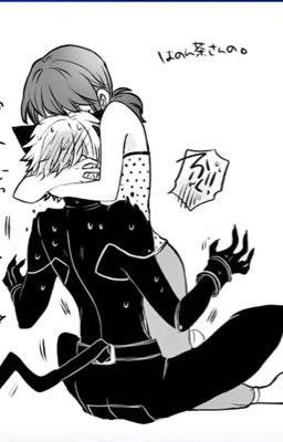 [Miraculous fanfiction] Đồ mèo đen
