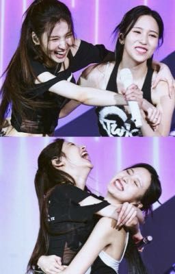 [MISANA] SA NAM VIÊN