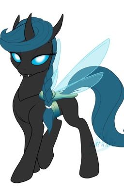 MLP RP