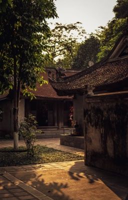 Mợ hai về rồi