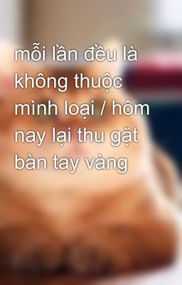 mỗi lần đều là không thuộc mình loại / hôm nay lại thu gặt  bàn tay vàng