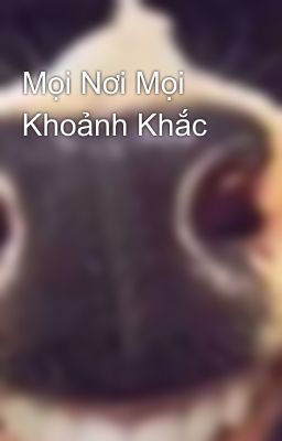 Mọi Nơi Mọi Khoảnh Khắc