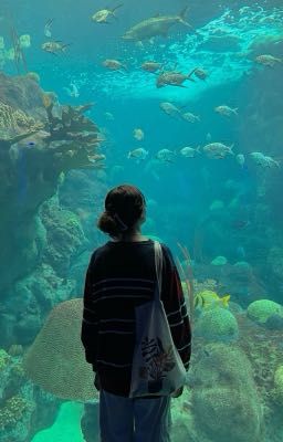 Mọi thứ có là thật?