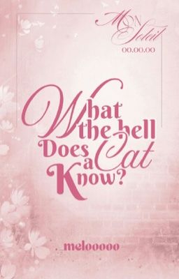 「Mon Soleil જ⁀➴ 00:00」What the hell does a cat know?