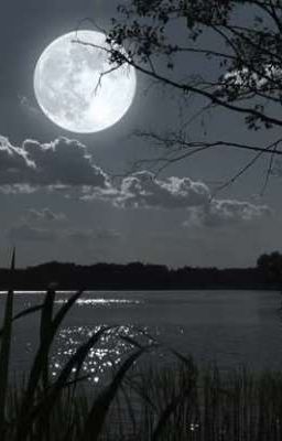 [Moonsan] Âm dương nhãn và thiên sư tiểu thư
