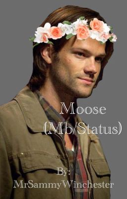 Moose (mb/status)