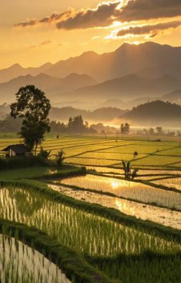 MỘT ĐỜI, MỘT NHÀ