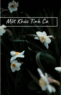 Một Khúc Tình Ca 