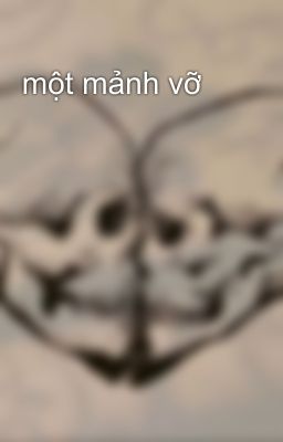 một mảnh vỡ