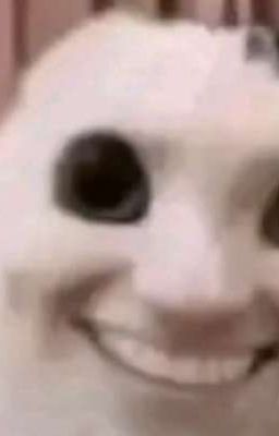 một năm bất ổn