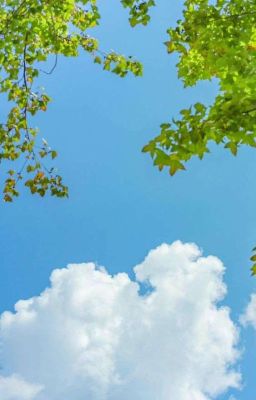 một nơi chỉ có tôi ( bách hợp)___[Tự Viết]