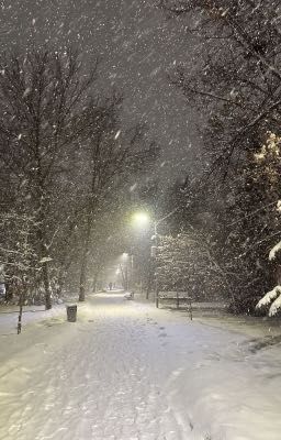 Một Nửa Mùa Đông