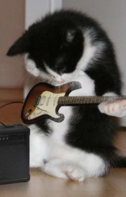 một xíu tâm sự