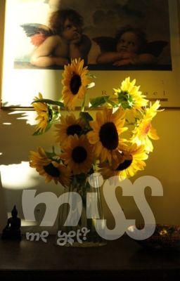 msb ⋆ miss me yet?