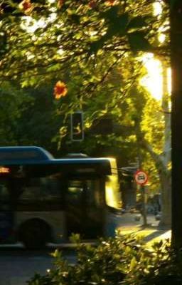 Mùa Hạ Của Riêng Em