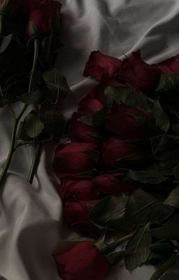 Mùa hoa đỏ || Hyunjin x Reader