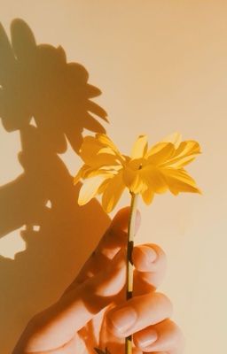 mười một. bảy; một đời lãng quên