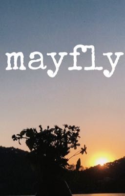 [MUỘIIMOON] MAYFLY