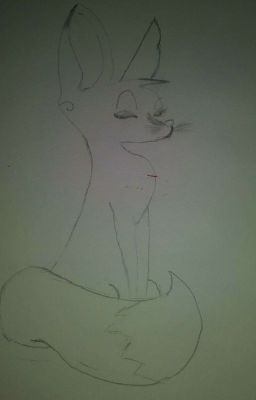 My drawings