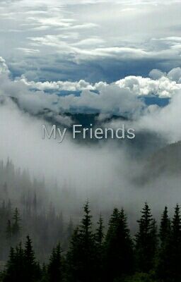 My Friends