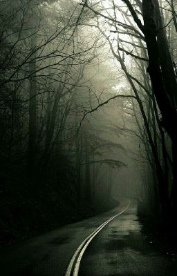 my life forest 