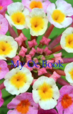 My oc book 
