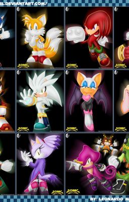 My Opinion on Sonic Characters