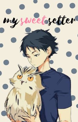 My Sweet Setter (Akaashi x Reader)