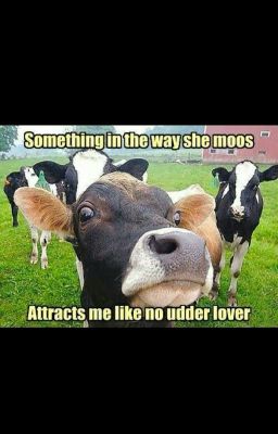 Mystery Meat